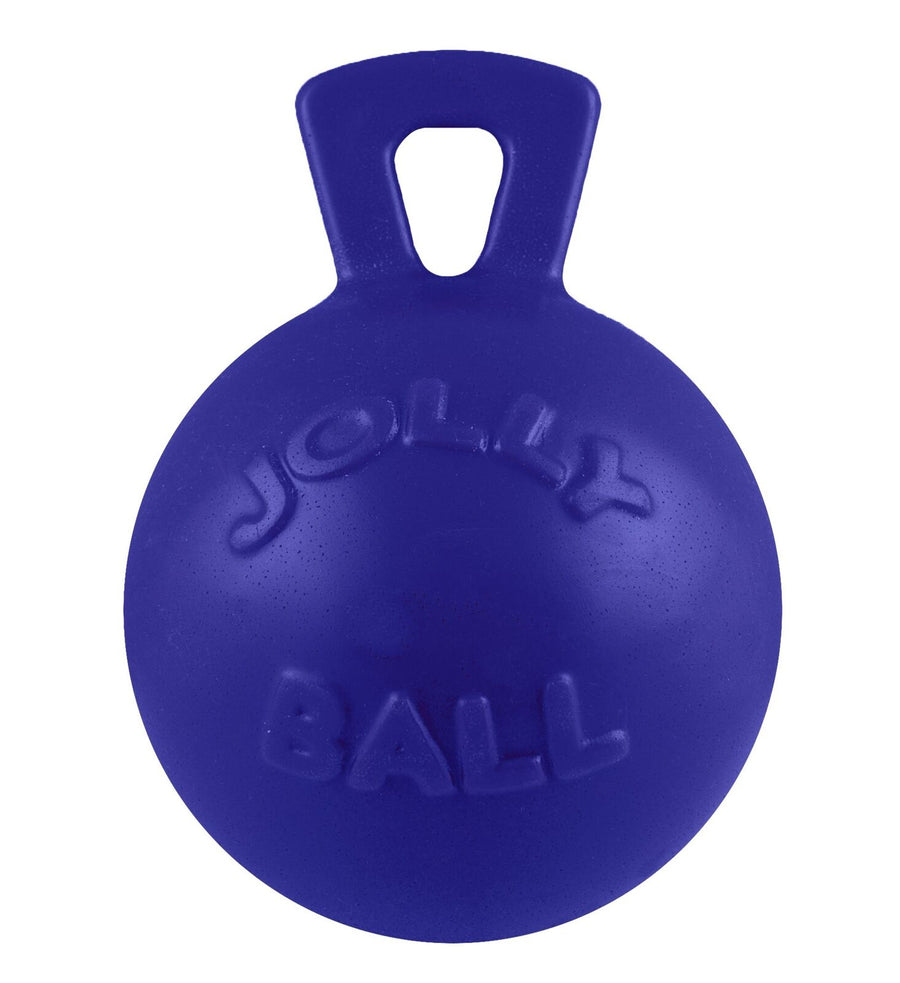 Jolly Pets Tug-N-Toss Heavy Duty Dog Toy Ball with Handle 8 Inches/Large