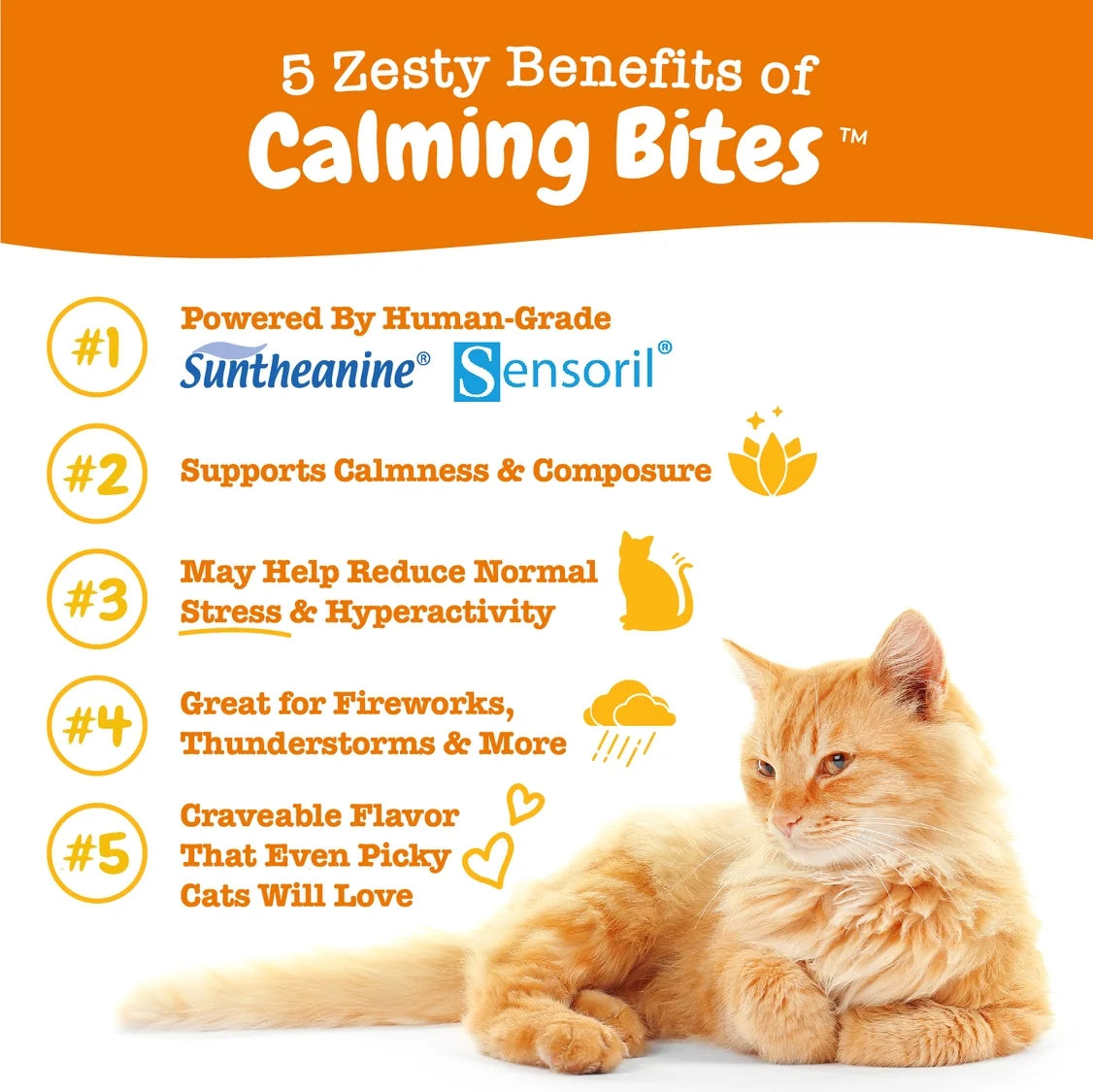 Bacon-Flavored Calming Bites for Cats – Stress & Anxiety Relief Supplement, 30 Count